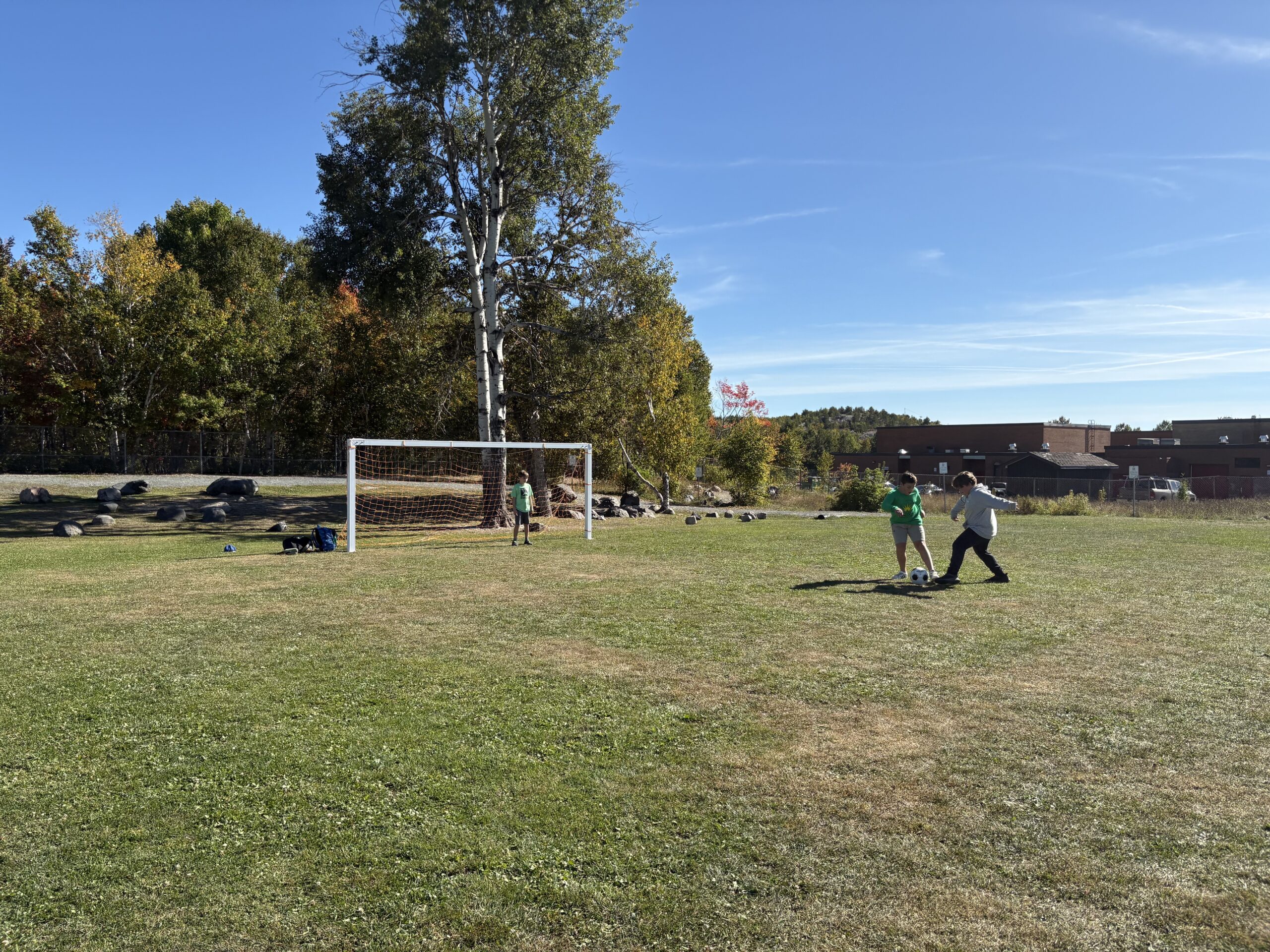 Walden Public School Soccer Nets